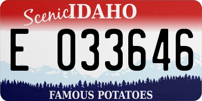 ID license plate E033646