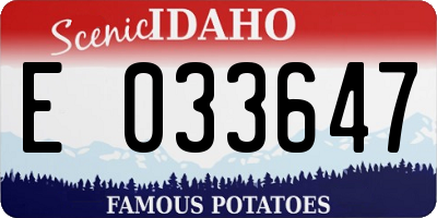 ID license plate E033647