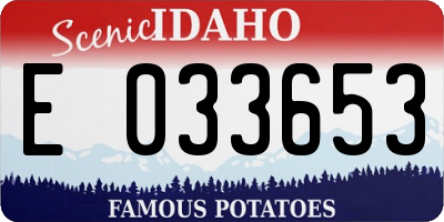 ID license plate E033653
