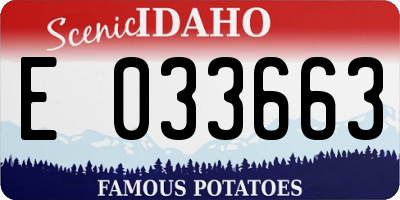 ID license plate E033663