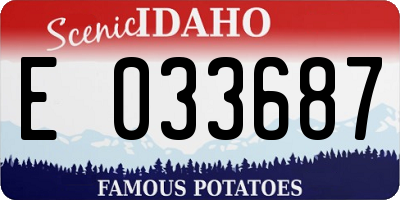 ID license plate E033687