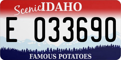 ID license plate E033690