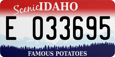 ID license plate E033695