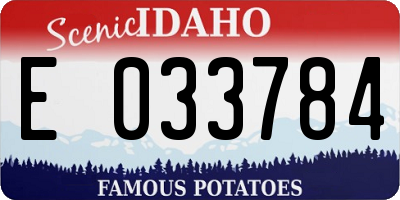 ID license plate E033784