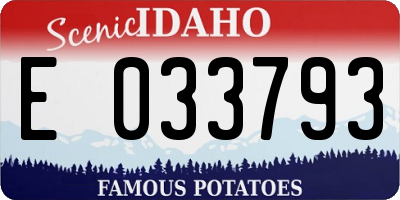 ID license plate E033793