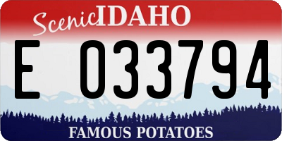 ID license plate E033794