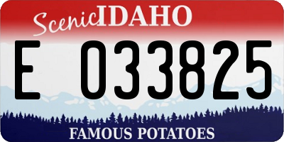 ID license plate E033825