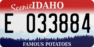 ID license plate E033884