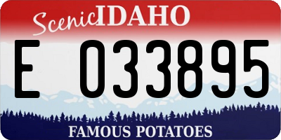 ID license plate E033895
