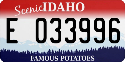 ID license plate E033996