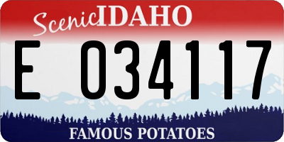 ID license plate E034117