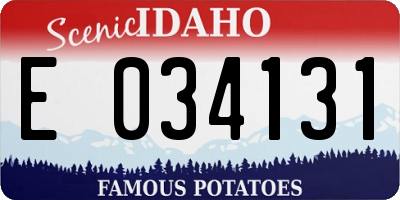 ID license plate E034131