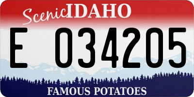 ID license plate E034205