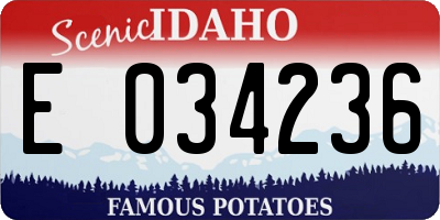 ID license plate E034236