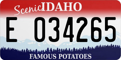 ID license plate E034265