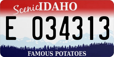 ID license plate E034313