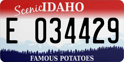 ID license plate E034429