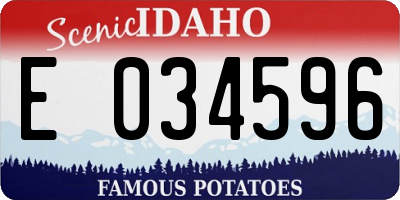 ID license plate E034596