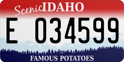ID license plate E034599