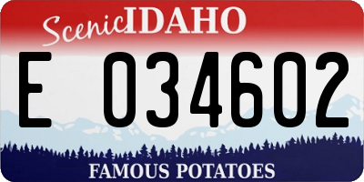 ID license plate E034602