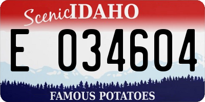 ID license plate E034604