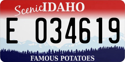 ID license plate E034619