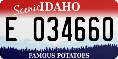 ID license plate E034660