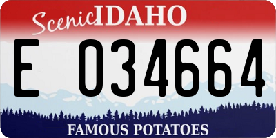 ID license plate E034664
