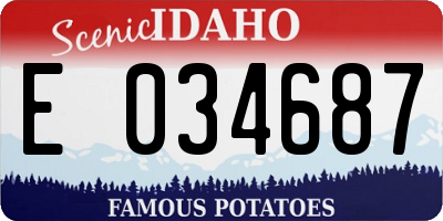 ID license plate E034687