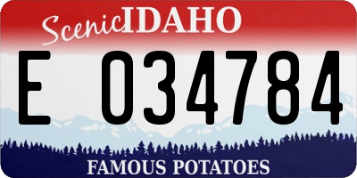 ID license plate E034784