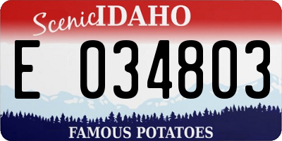 ID license plate E034803