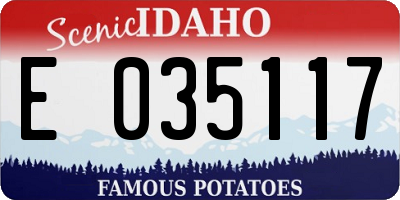 ID license plate E035117