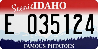 ID license plate E035124
