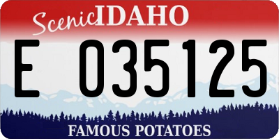 ID license plate E035125