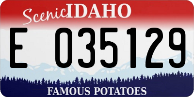 ID license plate E035129