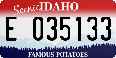 ID license plate E035133