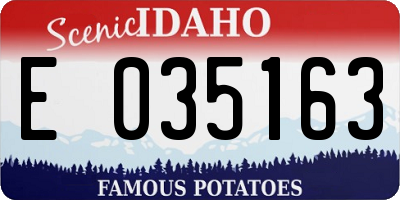 ID license plate E035163