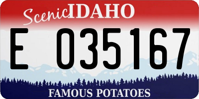 ID license plate E035167