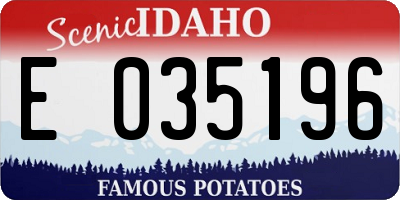 ID license plate E035196