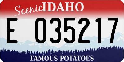 ID license plate E035217