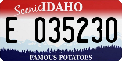 ID license plate E035230