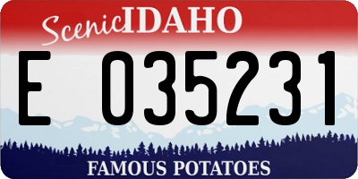 ID license plate E035231