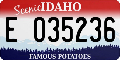 ID license plate E035236