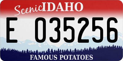 ID license plate E035256