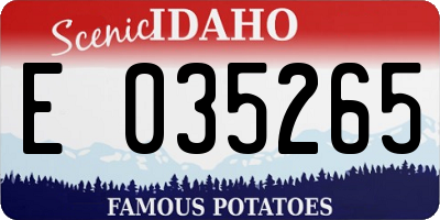 ID license plate E035265