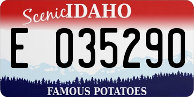 ID license plate E035290