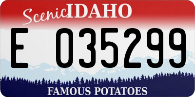 ID license plate E035299