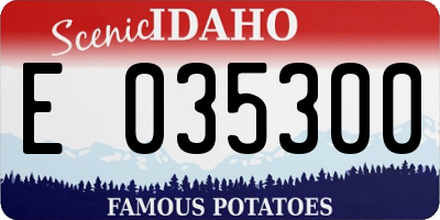 ID license plate E035300