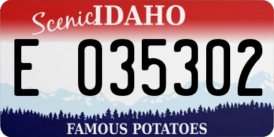 ID license plate E035302