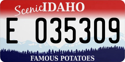 ID license plate E035309